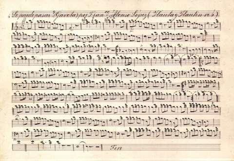 Faluta y flautin re b