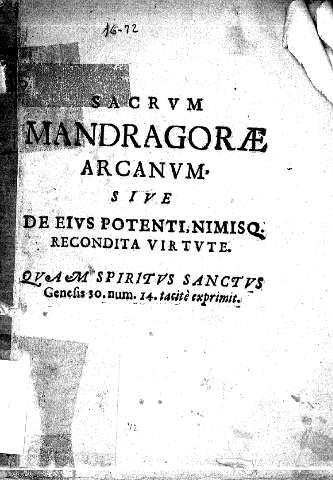 Sacrum mandragore arcanum sive de eius potentinimiso recondita virtute