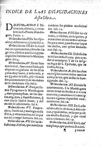 Indice de las dilucidaciones desta obra