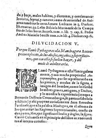 Dilucidacion V
