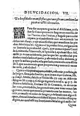 Dilucidacion VII