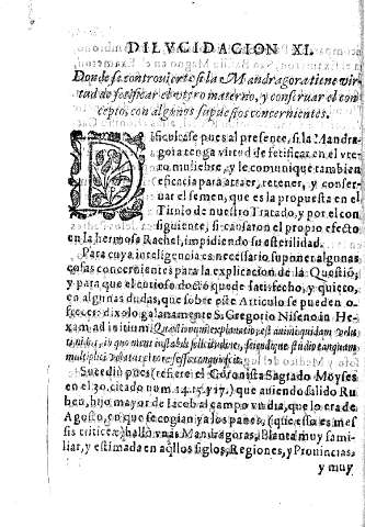 Dilucidacion XI