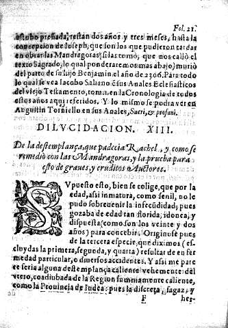 Dilucidacion XIII