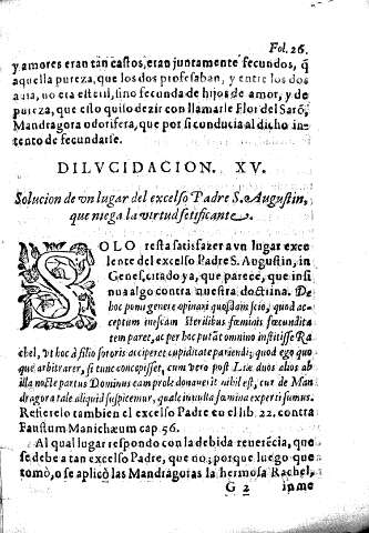 Dilucidacion XV