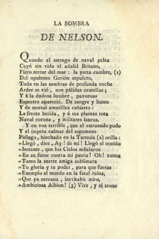 La sombra de Nelson