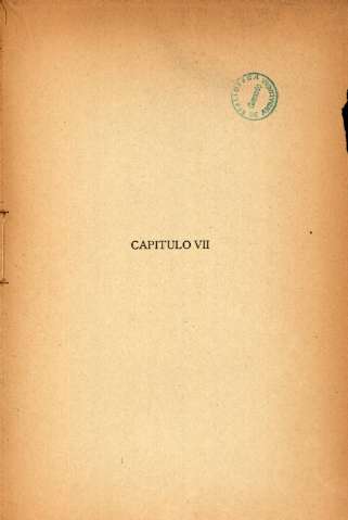 Capítulo VII