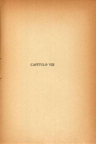 Capítulo VIII