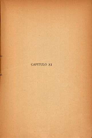 Capítulo XI