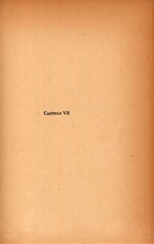 Capítulo VII