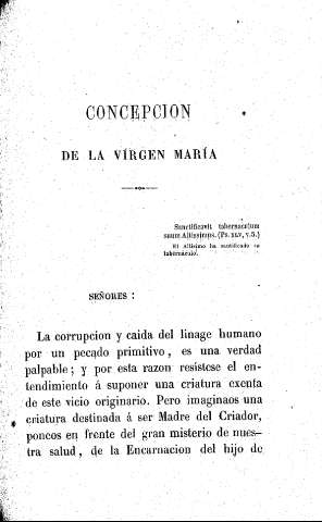 Concepción de la Virgen María