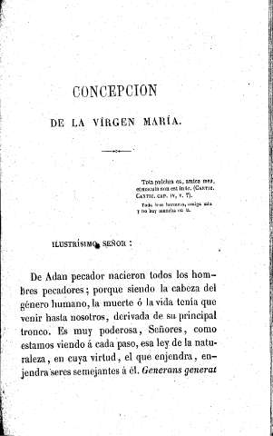 Concepción de la Virgen María