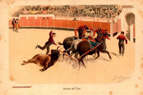 Arrastre del Toro