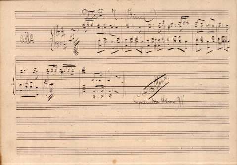 Nº 7 (Final)