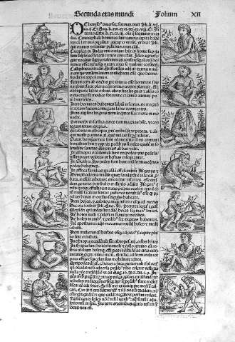 [Secunda eras mundi] XII