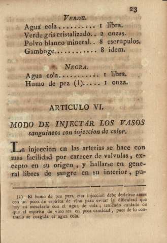 Articulo VI. Modo de injectar los vasos sanguineos con injeccion de color