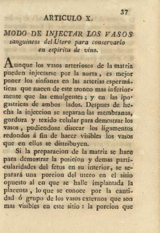 Articulo X. Modo de injectar los vasos sanguineos del Utero para conservarlos en espíritu de vino