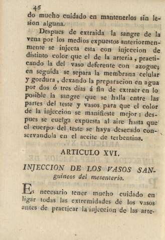 Articulo XVI. Injeccion de los vasos sanguineos del mesenterio