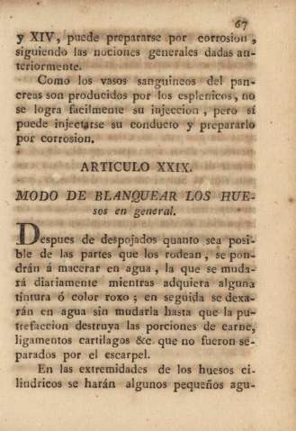 Articulo XXIX. Modo de blanquear los huesos en general