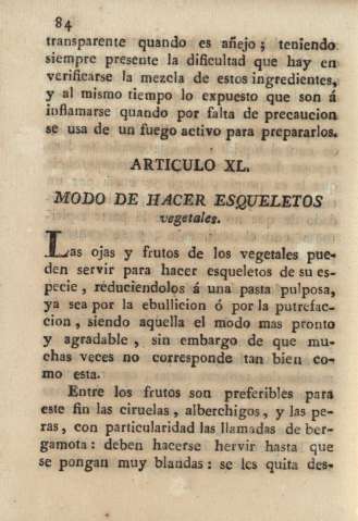 Articulo XL. Modo de hacer esqueletos vegetales