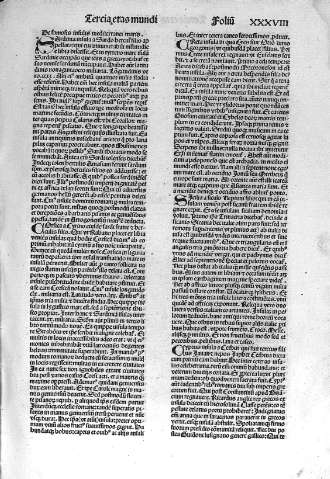 XXXVIII