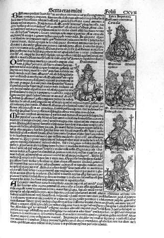 CXVII