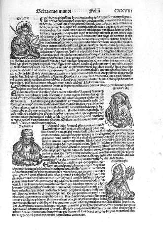 CXXVIII