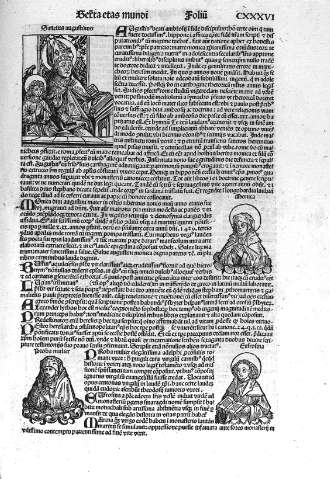 CXXXVI