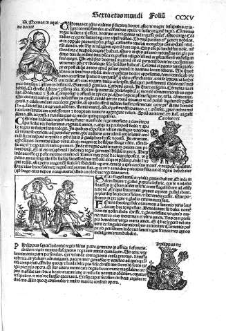 CCXV