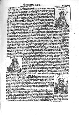 CCXVI