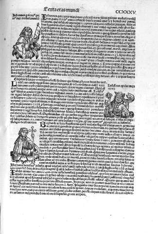 CCXXXV