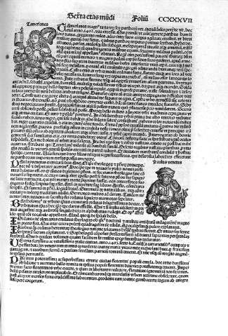 CCXXXVII