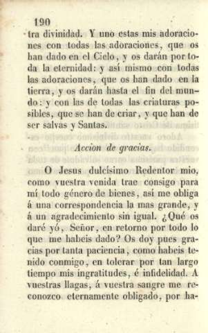 Acción de gracias