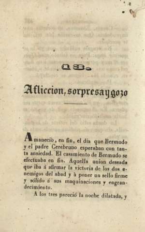 13. Afliccion, sorpresa y gozo