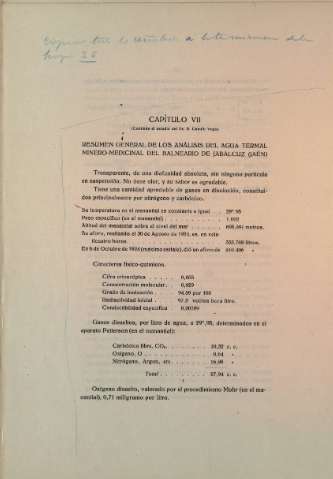 Capítulo VII
