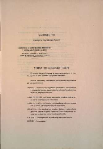 Capítulo VIII