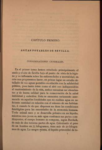 Capítulo Primero. Aguas potables de Sevilla