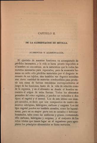 Capítulo II. De la alimentación en Sevilla
