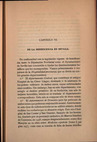Capítulo VI. De la beneficencia en Sevilla