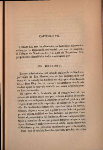 Capítulo VII. El hospicio