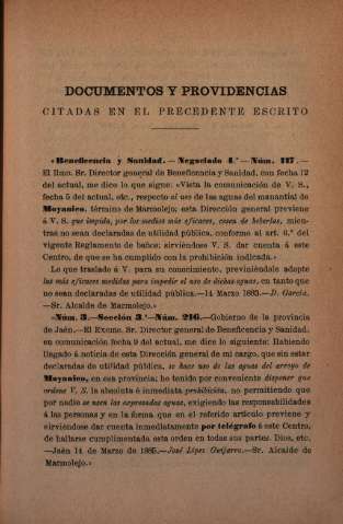 Documentos y providencias citadas en el presente escrito