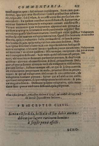 255