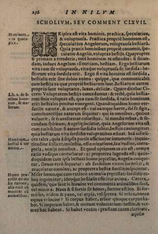 256