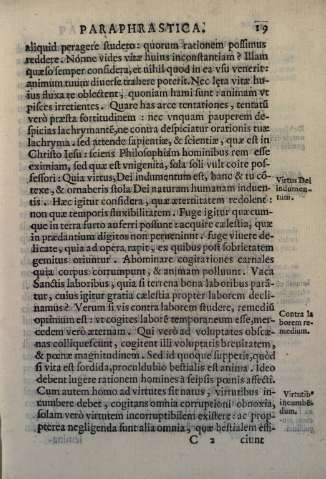 19