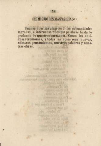 381