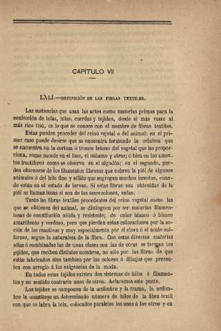 Capítulo VII