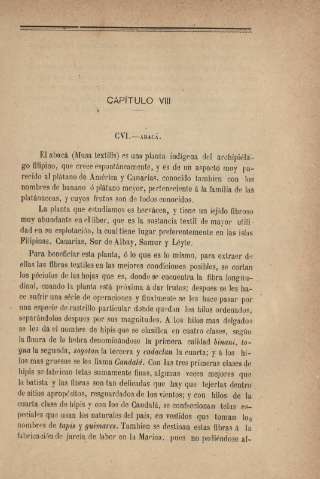 Capítulo VIII