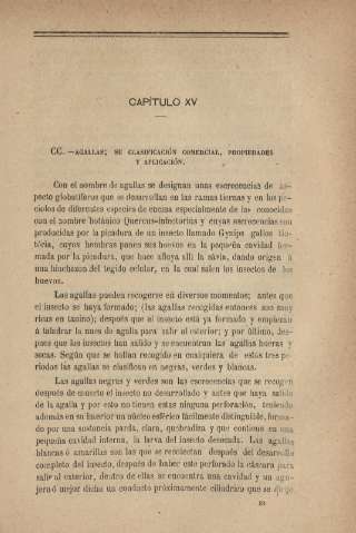 Capítulo XV