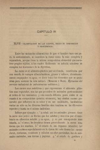 Capítulo IV