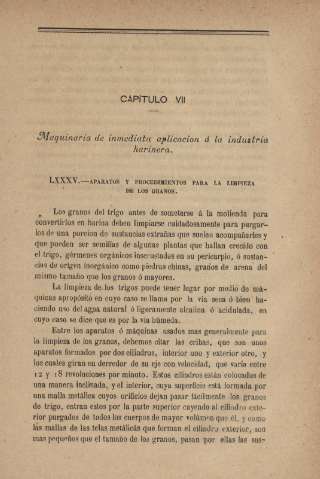 Capítulo VII