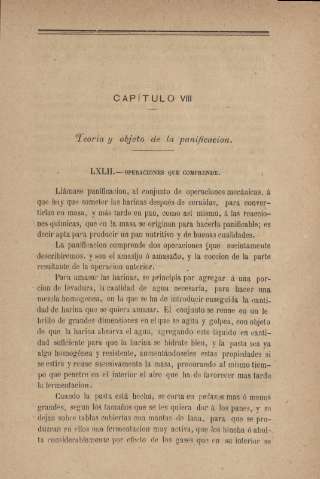 Capítulo VIII